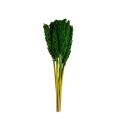INDIAN CORN - DARK GREEN.jpg