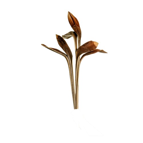 SHOE HORN - NATURE.jpg