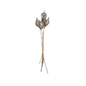 VINE LANTERN