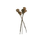 VINE TORCH