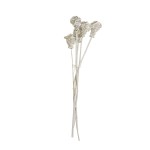 VINE TORCH
