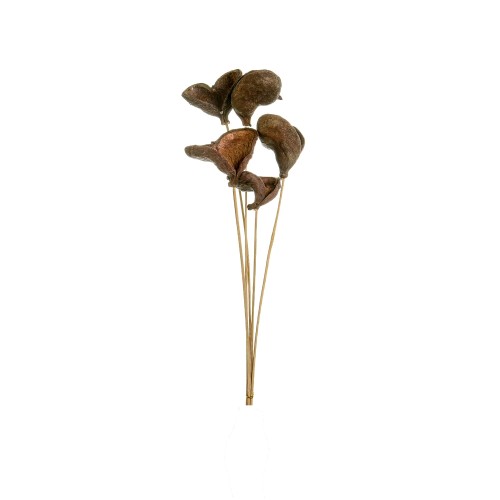 BADAM STICK -  NATURE.jpg