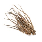 COCO CAP STICK