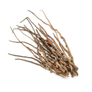 COCO CAP STICK
