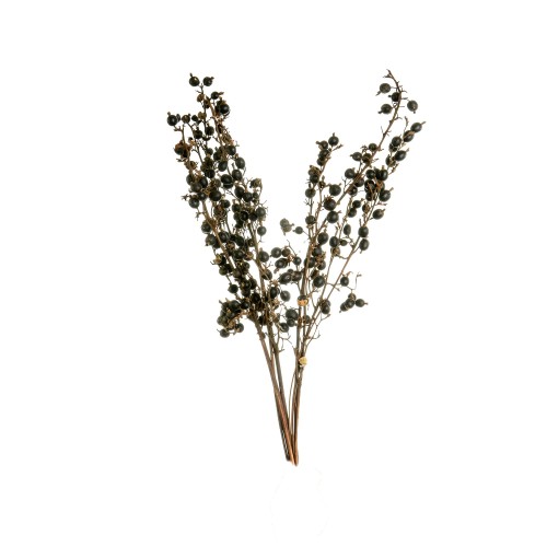BLACKBERRY.jpg