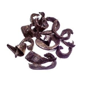 COCO C CUT THICK GOLD-PLATINUM