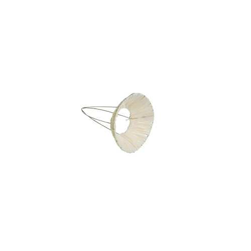 TX0160009:10_2.jpg