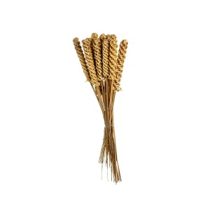 ROMAN CANDLES