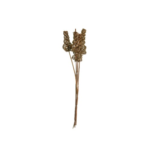 VINE WHIRL - BROWN.jpg