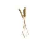 VINE CANDLE