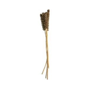 VINE CANDLE