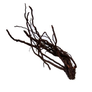 VINE STUMPS