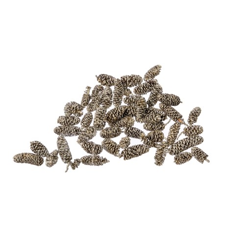 BIRCH PINE SZYSZKA - SREBRO:PLATYNA - 200g.jpg
