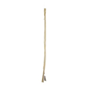RATTAN