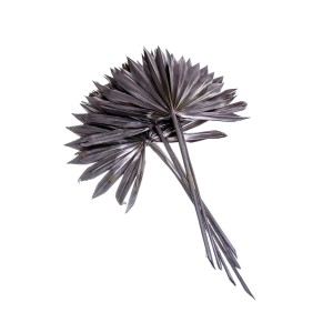 PALM SUN SPEAR 