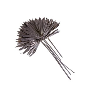 PALM SUN SPEAR 