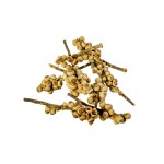 ACORN BUNCH BLD