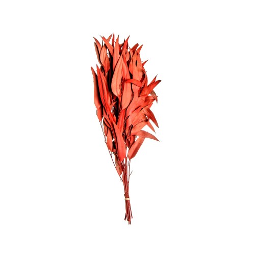 EUCALIPTUS WILLOW - NAT:RED.jpg