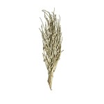 COCO BRANCH WHITE WASHED