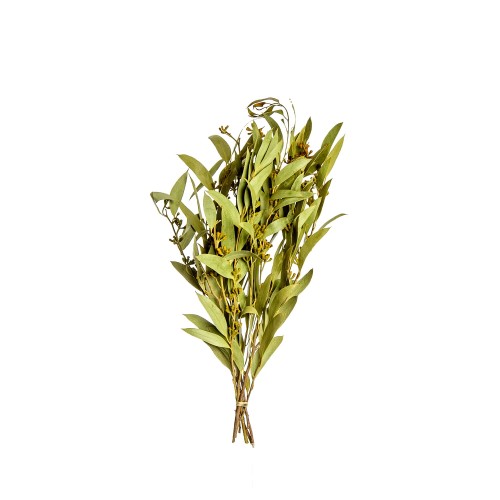 AMBER FRUIT FOLIAGE - GREEN.jpg