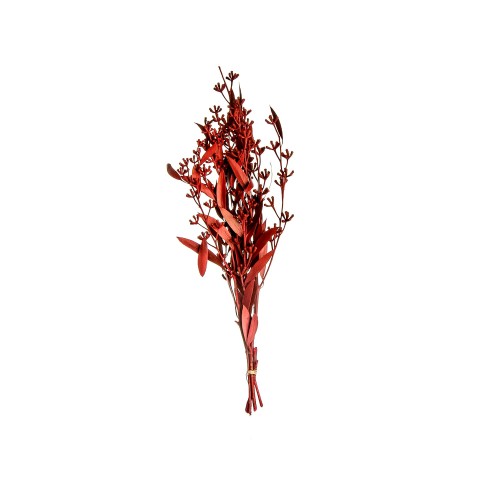 AMBER FRUIT FOLIAGE - RED.jpg