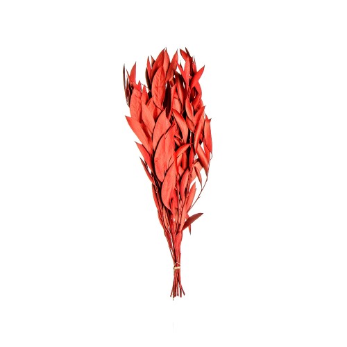 AMBER FOLIAGE - RED.jpg