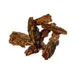KORA MARITIMA