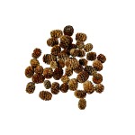 MERIDIANUM