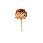 ARTICHOKE