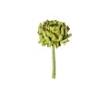 ARTICHOKE - GREEN.jpg