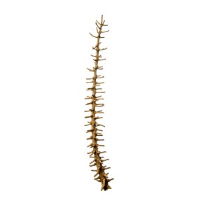 RIB STICK