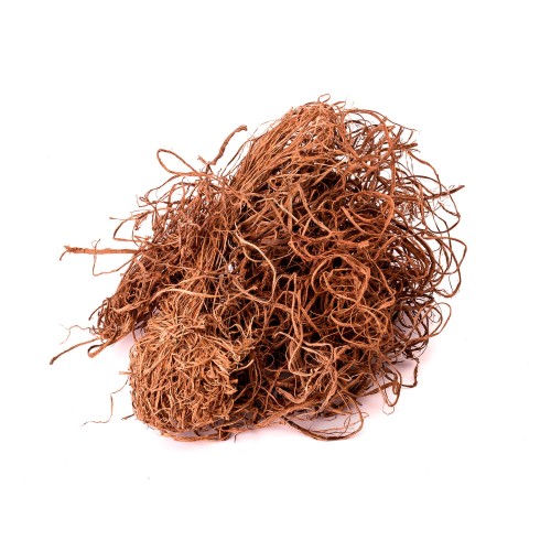 CURLY MOSS - NATURE (1).jpg