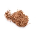 CURLY MOSS - NATURE.jpg