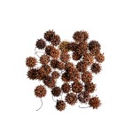 AMBERBAUM