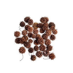 AMBERBAUM