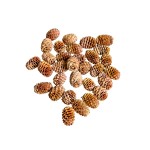 SABULOSUM CREAM
