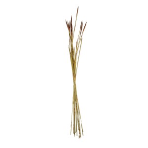 ARROW REED