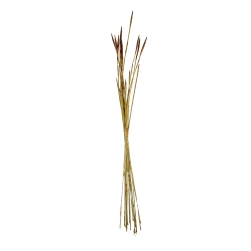 ARROW REED.jpg