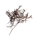 IRON BUSH