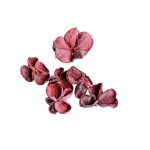 LAND LOTUS FLOCK RED