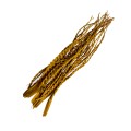 PALM SNAKE - YELLOW.jpg