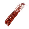 PALM SNAKE - ORANGE.jpg