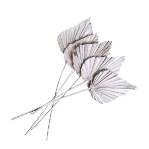 PALM SPEAR BIG PEARL