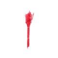MINI CANE SPRING - BRIGHT PINK.jpg
