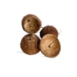COCO NUT CUP HAIR