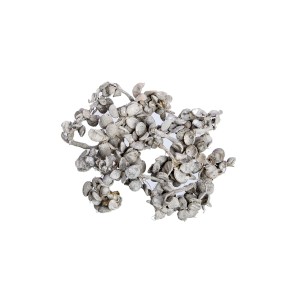 KANDA POD WHITE WASHED