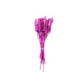 MINI CANE SPRING - PURPLE.jpg