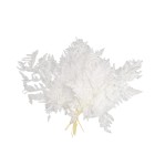 LEATHER FERN, LIŚĆ PAPROCI - 40/50 cm P/W