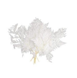 LEATHER FERN, LIŚĆ PAPROCI - 40/50 cm P/W