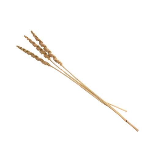 BABLA SCREW STICK NATURE.jpg